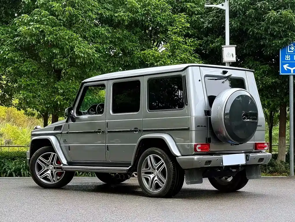 Mercedes-Benz G-Class AMG 2016 — фото 4
