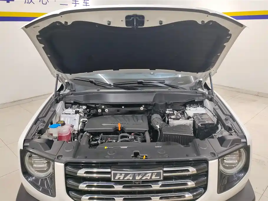 Haval Big Dog 2021 — фото 10