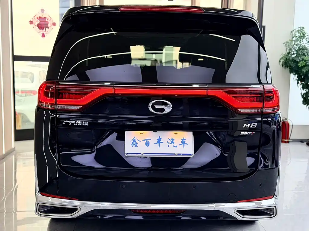 GAC Trumpchi M8 2022 — фото 10