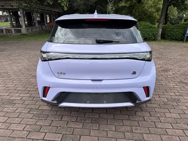 BYD Dolphin 2023