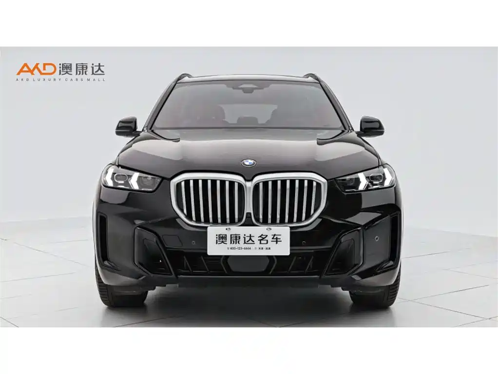 BMW X5 2025