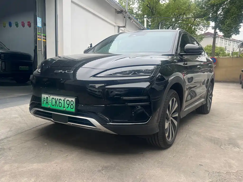 BYD PLUS New Energy 2023 — фото 1