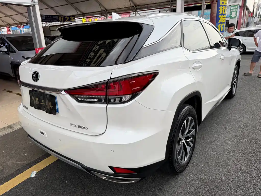 Lexus RX 2020 — фото 10