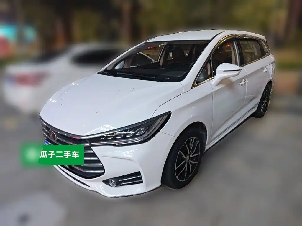 BYD MAX 2019