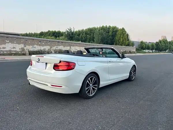 BMW 2 Series 2019