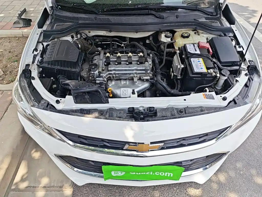 Chevrolet Cavalier 2019 — фото 16