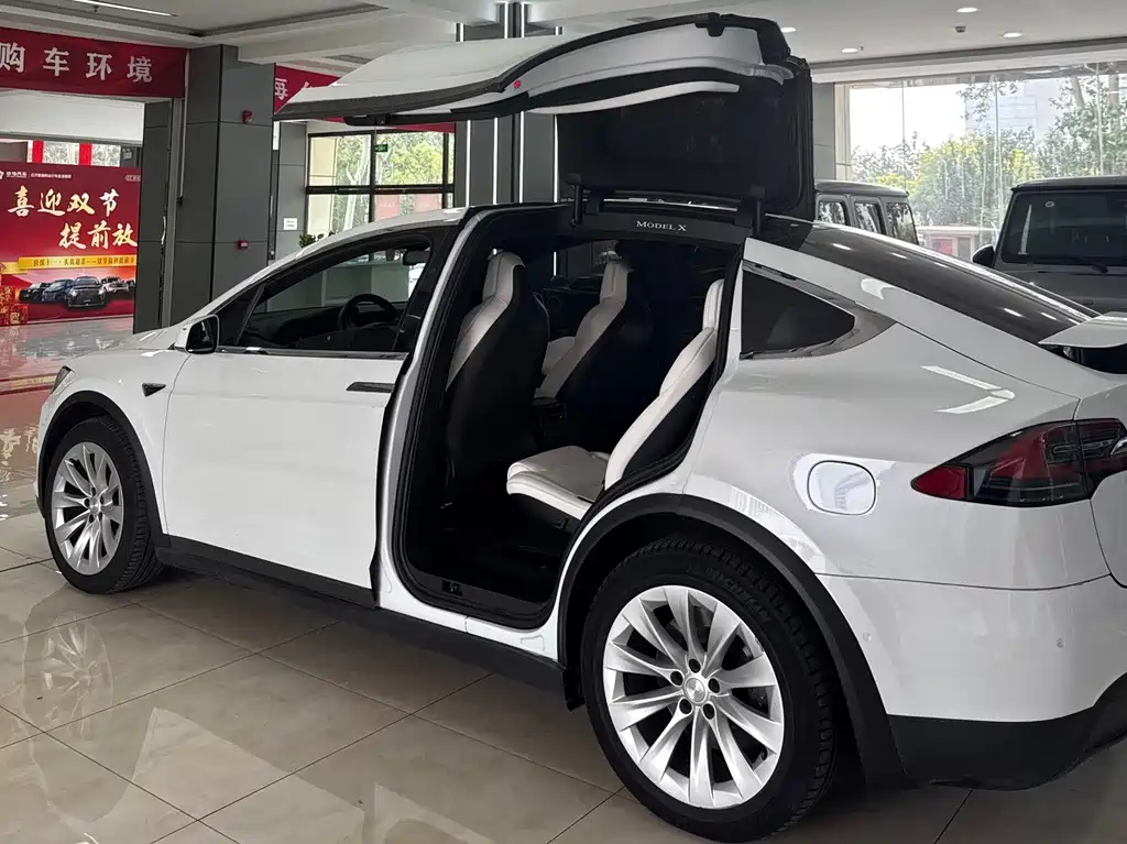 Tesla Model X 2019 — фото 13