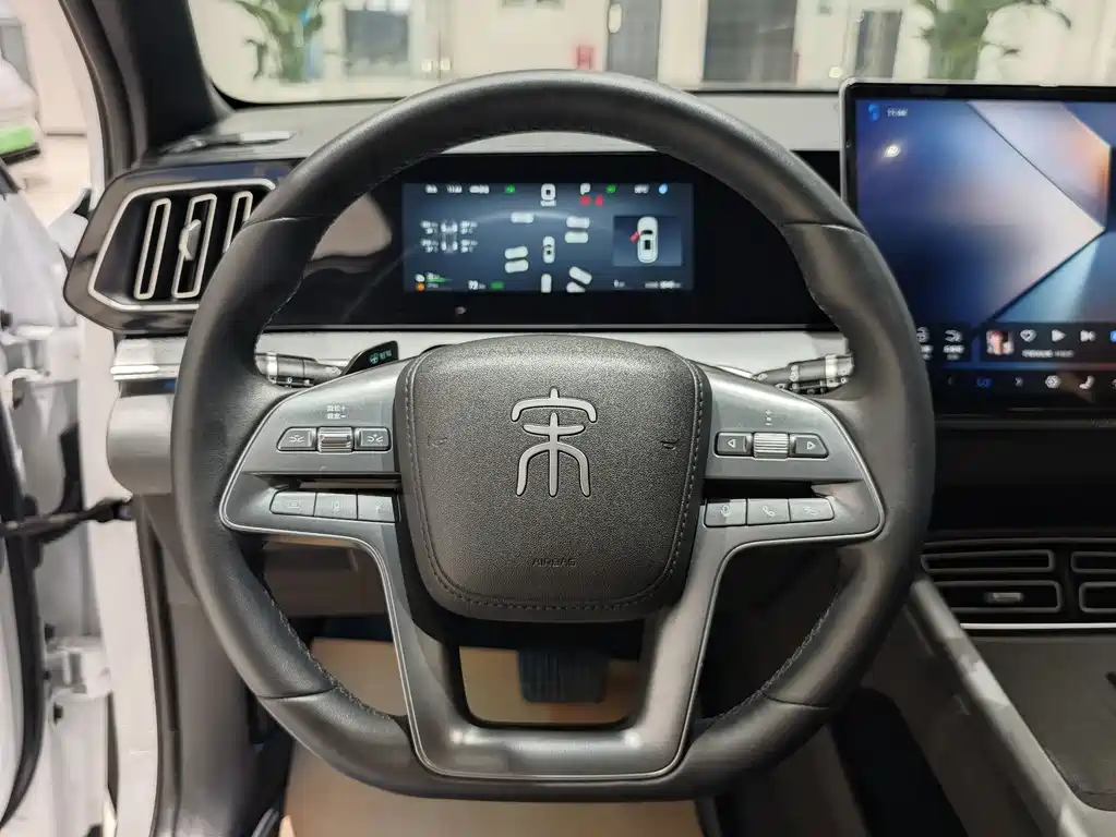 BYD Song Pro New Energy 2025 — фото 9