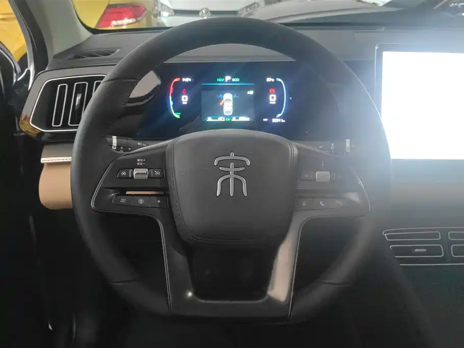 BYD Pro New Energy 2025 — фото 15