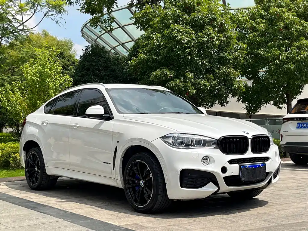 BMW X6 2017 — фото 3