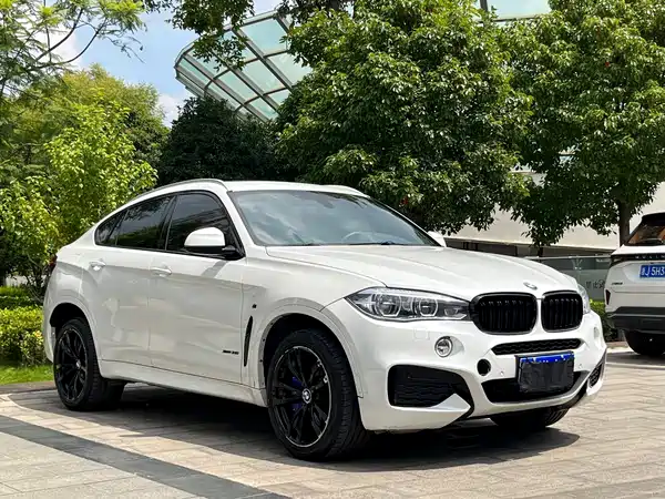 BMW X6 2017