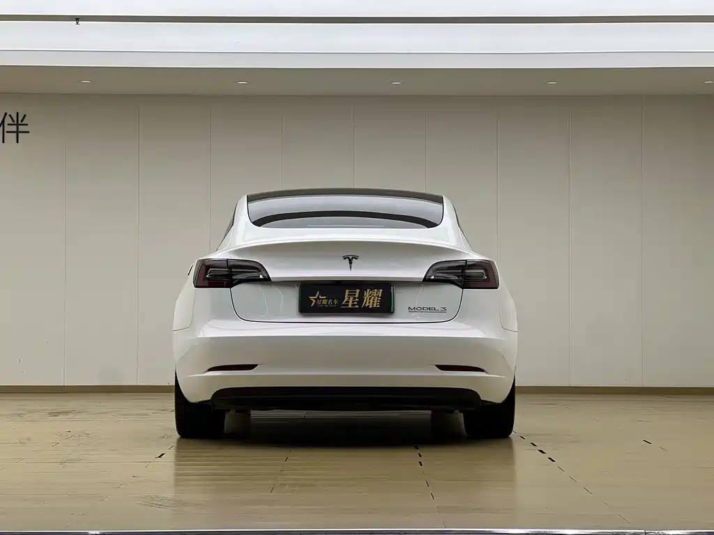 Tesla Model 3 2021 — фото 19