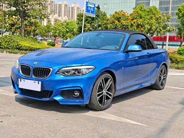 BMW 2 Series 2019