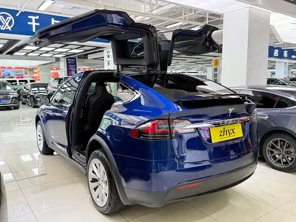 Tesla Model X 2018
