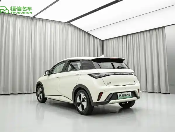 BYD Dolphin 2023