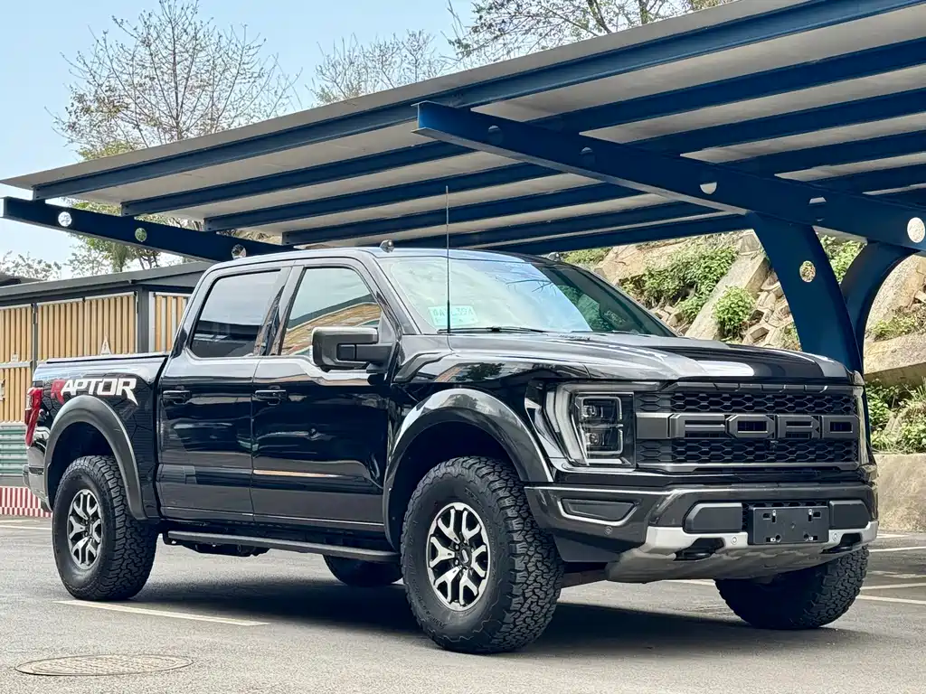 Ford F-150 Raptor 2024 — фото 3