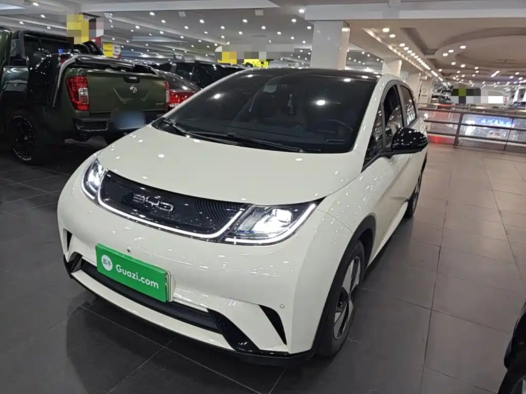 BYD Dolphin 2023 — фото 2