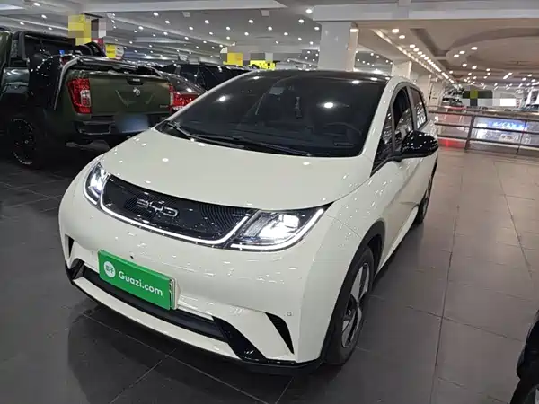 BYD Dolphin 2023