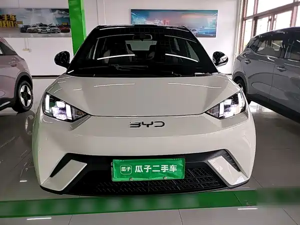 BYD Seagull 2024