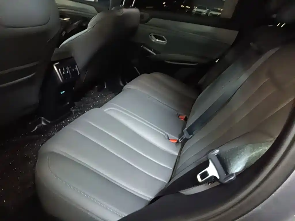 BYD Song L DM-i 2025 — фото 17