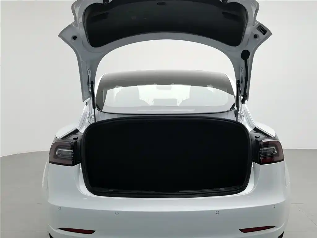 Tesla Model 3 2020 — фото 16