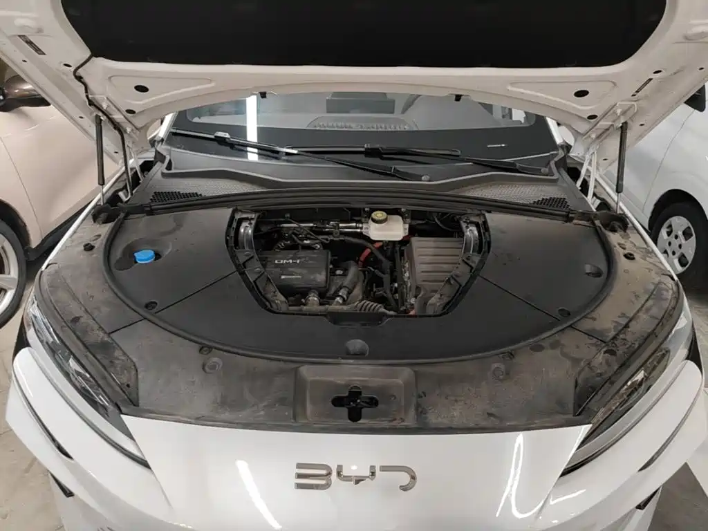 BYD Song PLUS New Energy 2024 — фото 20