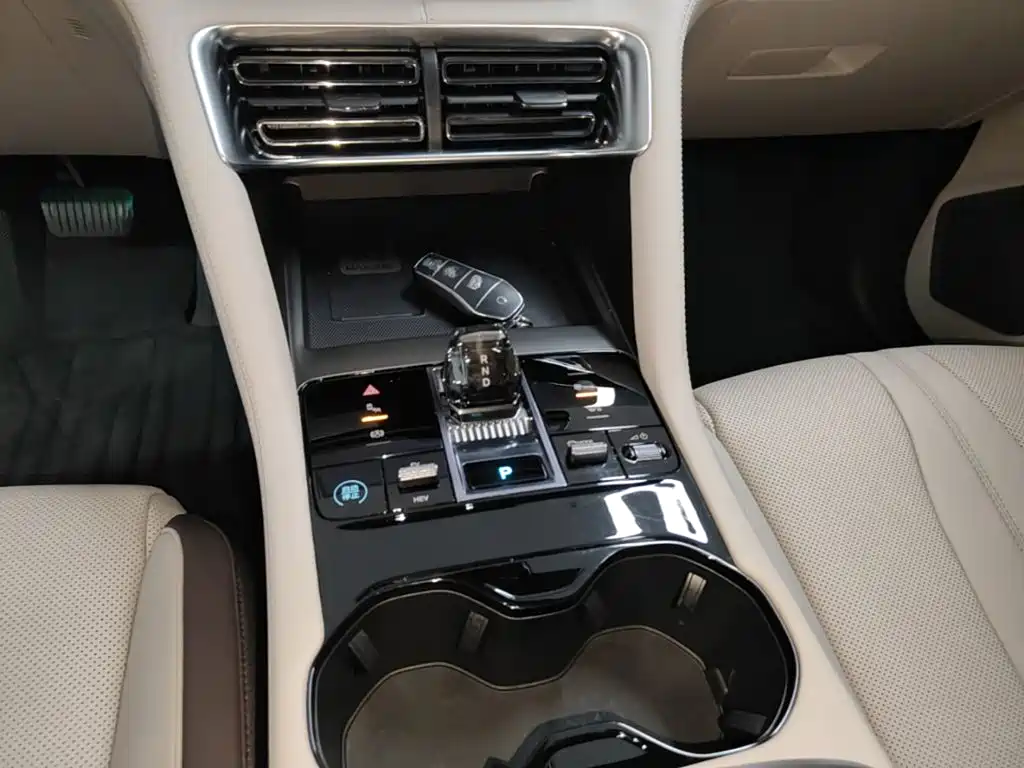 BYD Song PLUS New Energy 2024 — фото 14