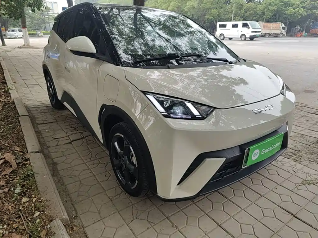 BYD Seagull 2024