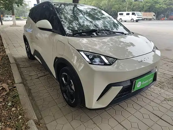 BYD Seagull 2024