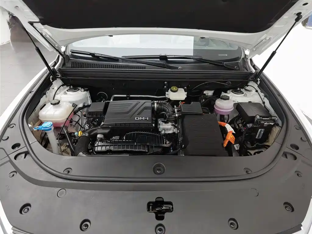 BYD Pro New Energy 2024 — фото 6