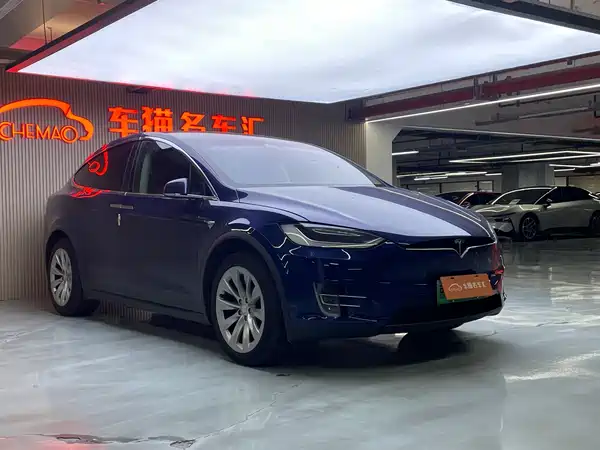 Tesla Model X 2019