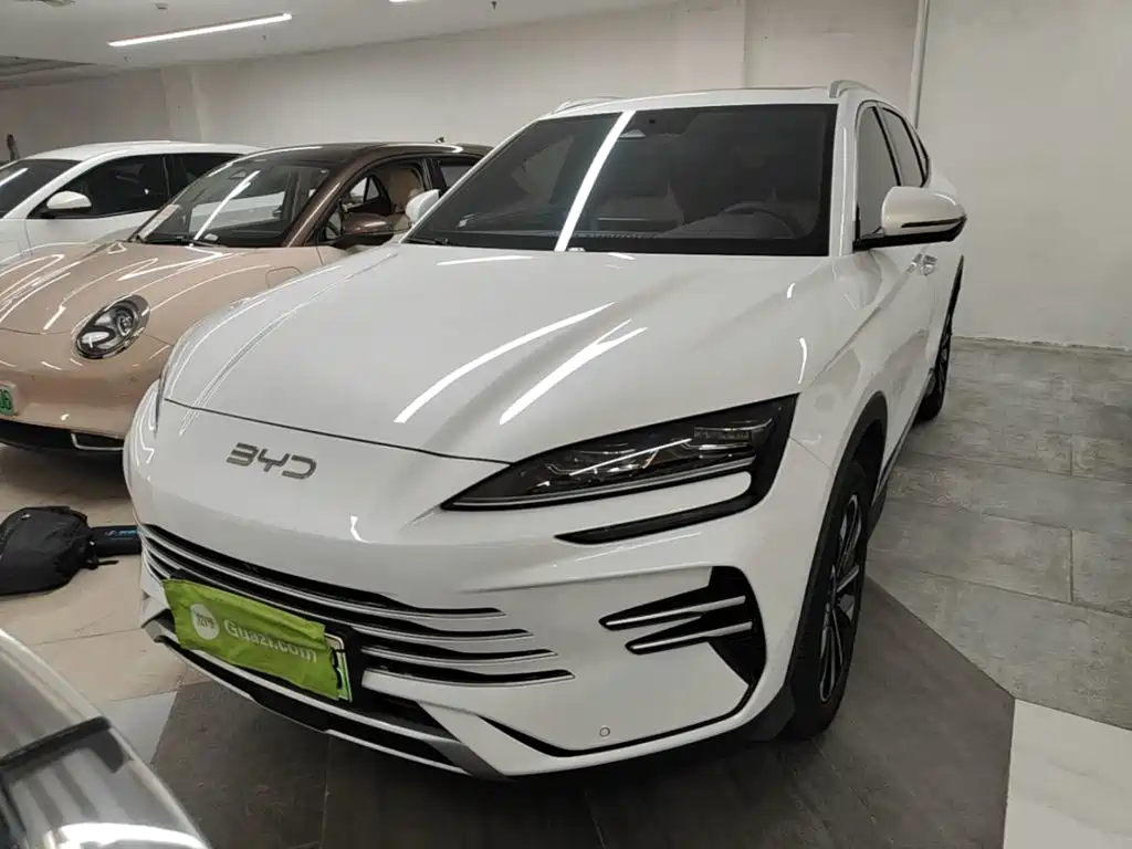 BYD Song PLUS New Energy 2024 — фото 3