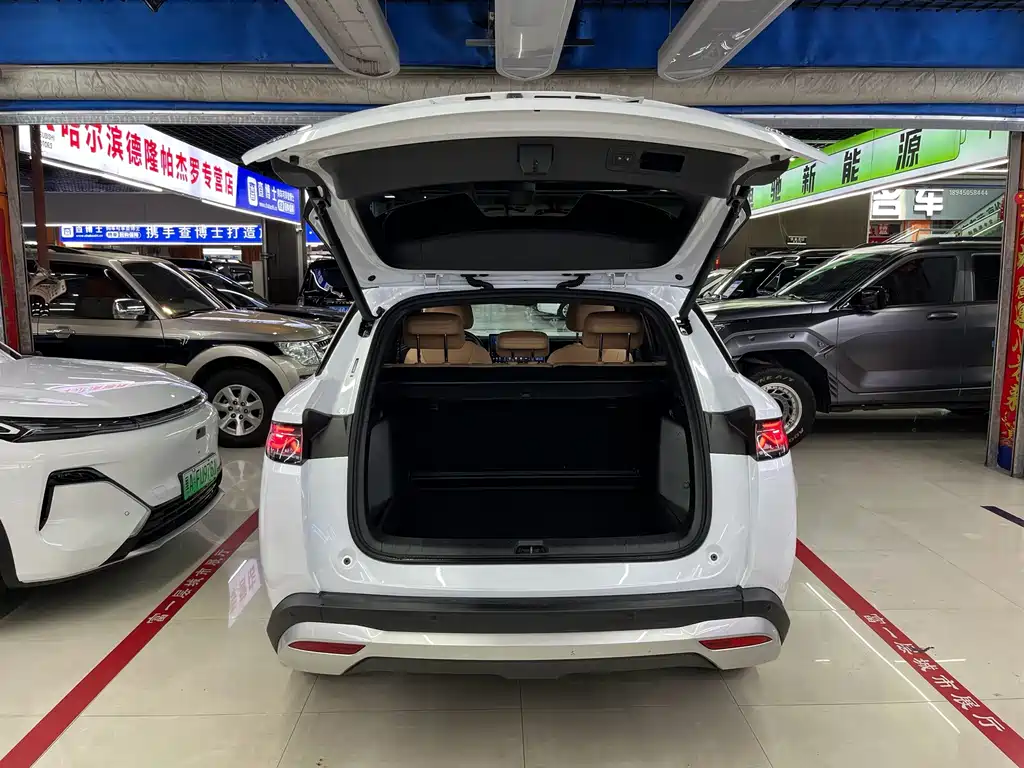 BYD Song L DM-i 2025 — фото 15