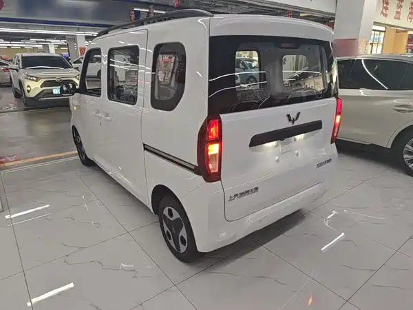 Wuling Zhiguang New Energy 2026