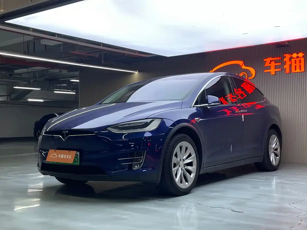 Tesla Model X 2019 — фото 1