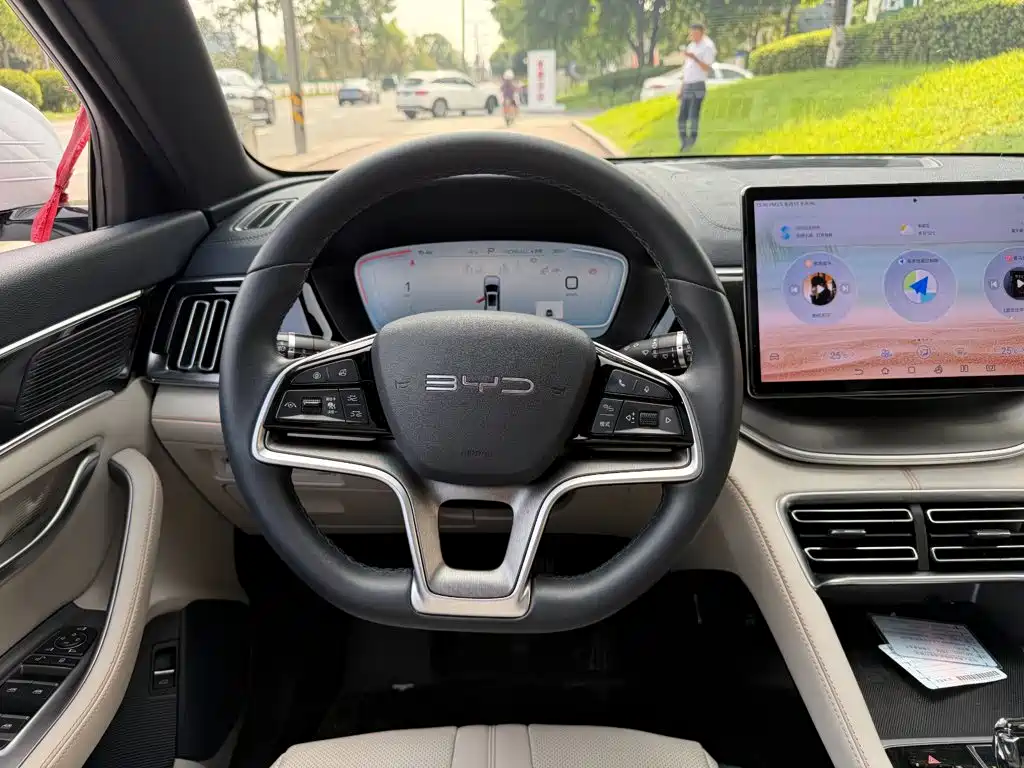 BYD Song PLUS New Energy 2024 — фото 14