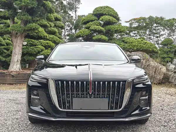 Hongqi H5 2024