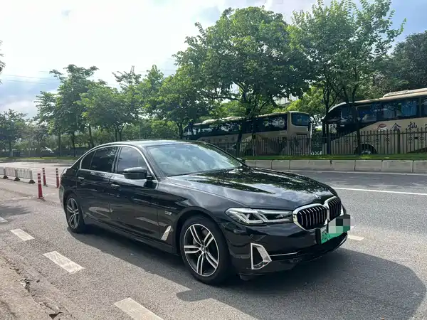 BMW 5 Series New Energy 2021