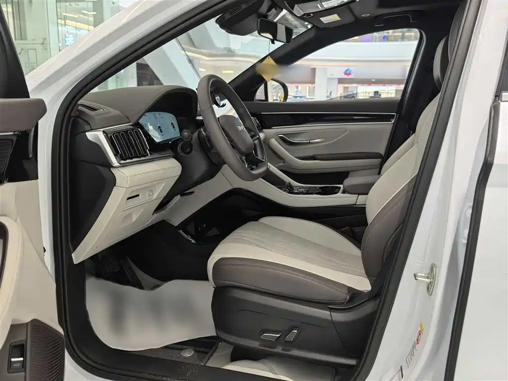 BYD PLUS New Energy 2025 — фото 4
