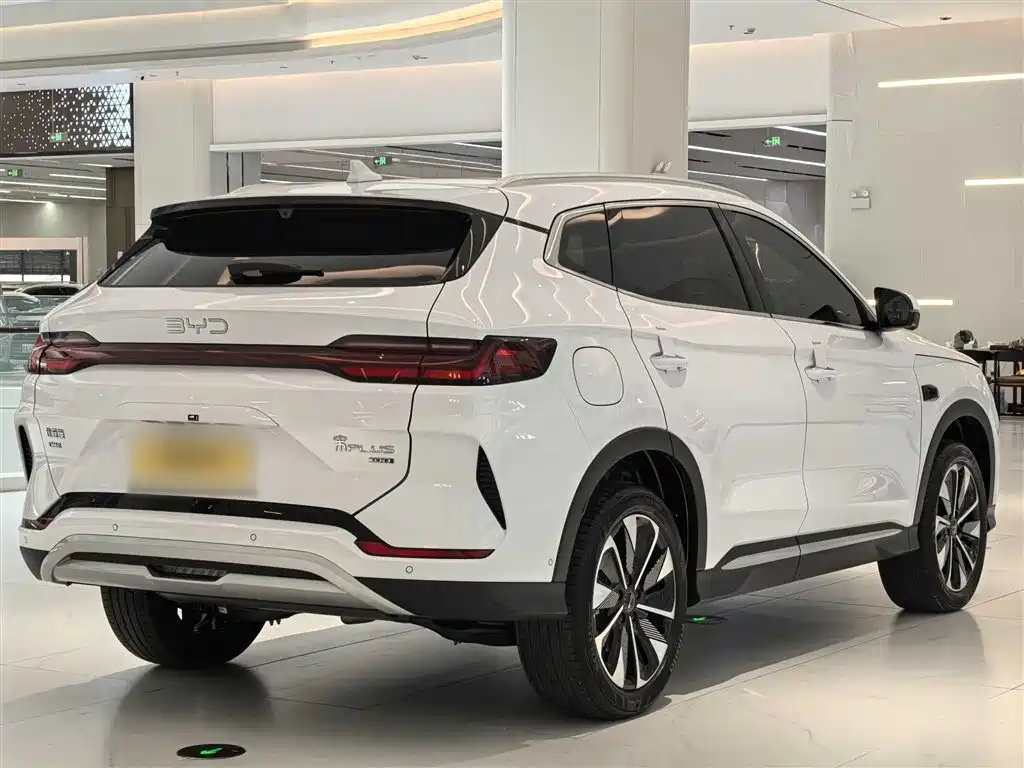 BYD PLUS New Energy 2025 — фото 10