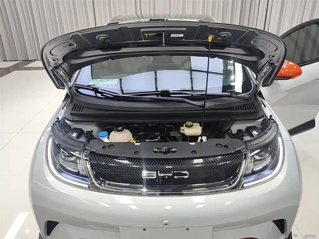 BYD Dolphin 2022 — фото 20