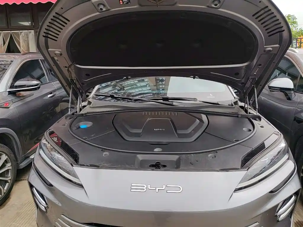 BYD PLUS New Energy 2024 — фото 20