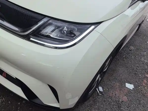 BYD Dolphin 2025