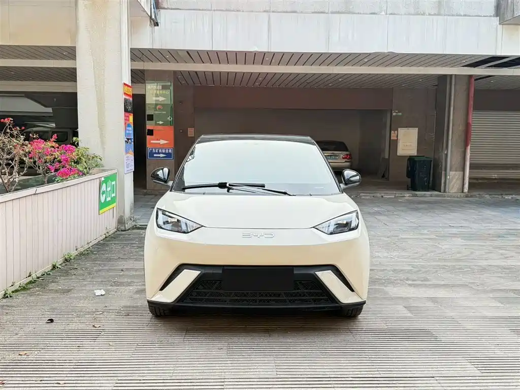 BYD Seagull 2024