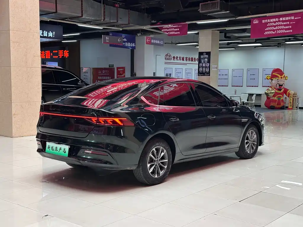 BYD Qin PLUS 2024 — фото 6