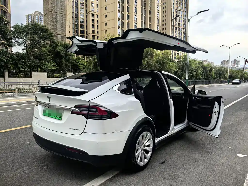 Tesla Model X 2020 — фото 15