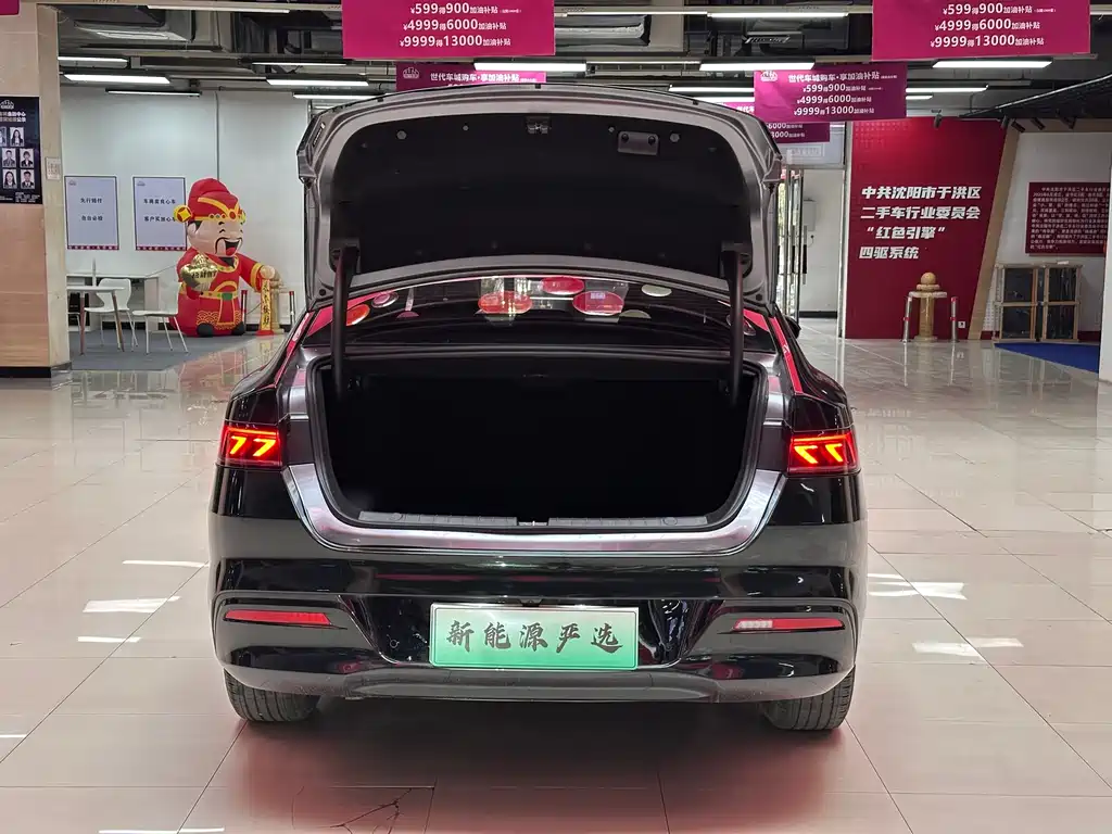 BYD Qin PLUS 2024 — фото 11
