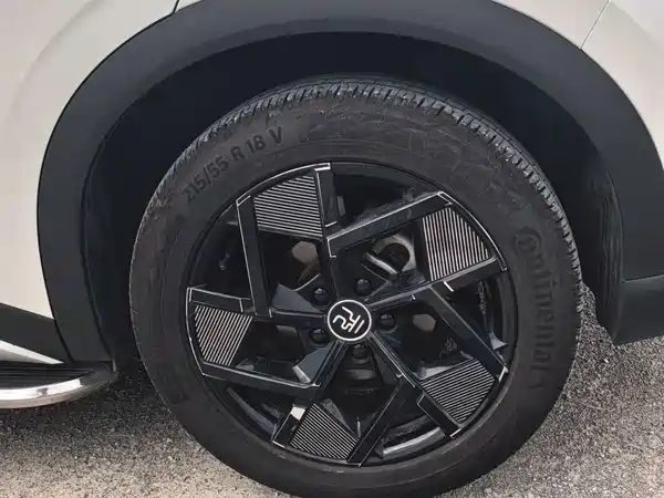 BYD Yuan PLUS 2022