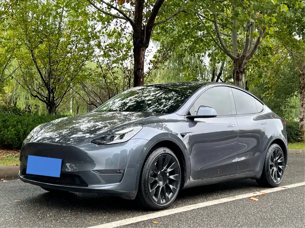 Tesla Model Y 2021 — фото 1