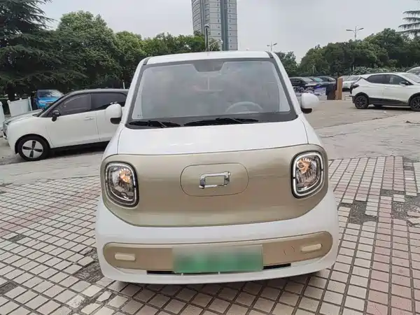 Bestune Pony 2024